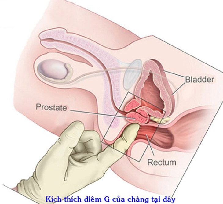 Kích thích điểm G của phụ nữ giúp bạn tình dễ dàng đạt hưng phấn, khóa cảm